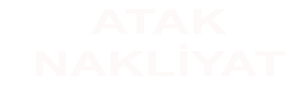 Logo footer